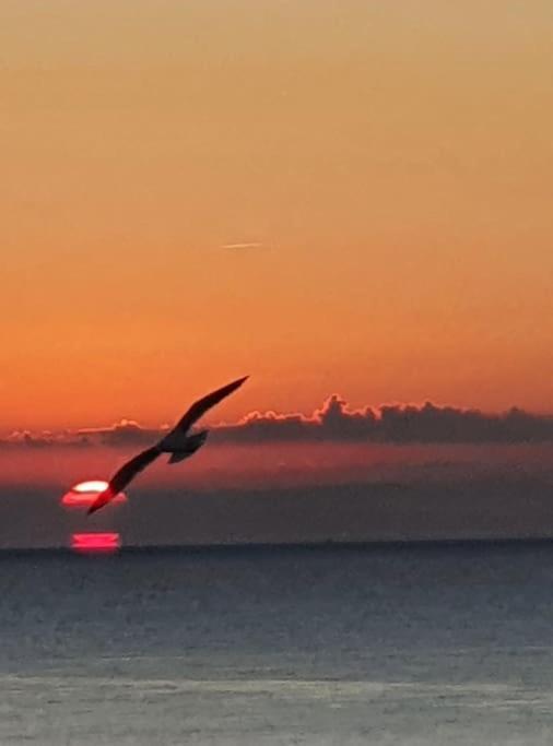 Le Chant Des Vagues Sète Dış mekan fotoğraf